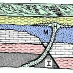 stratigraphy